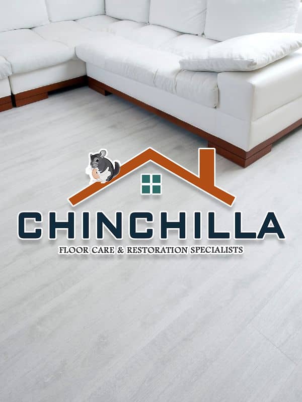 Chinchilla Carpet Cleaning